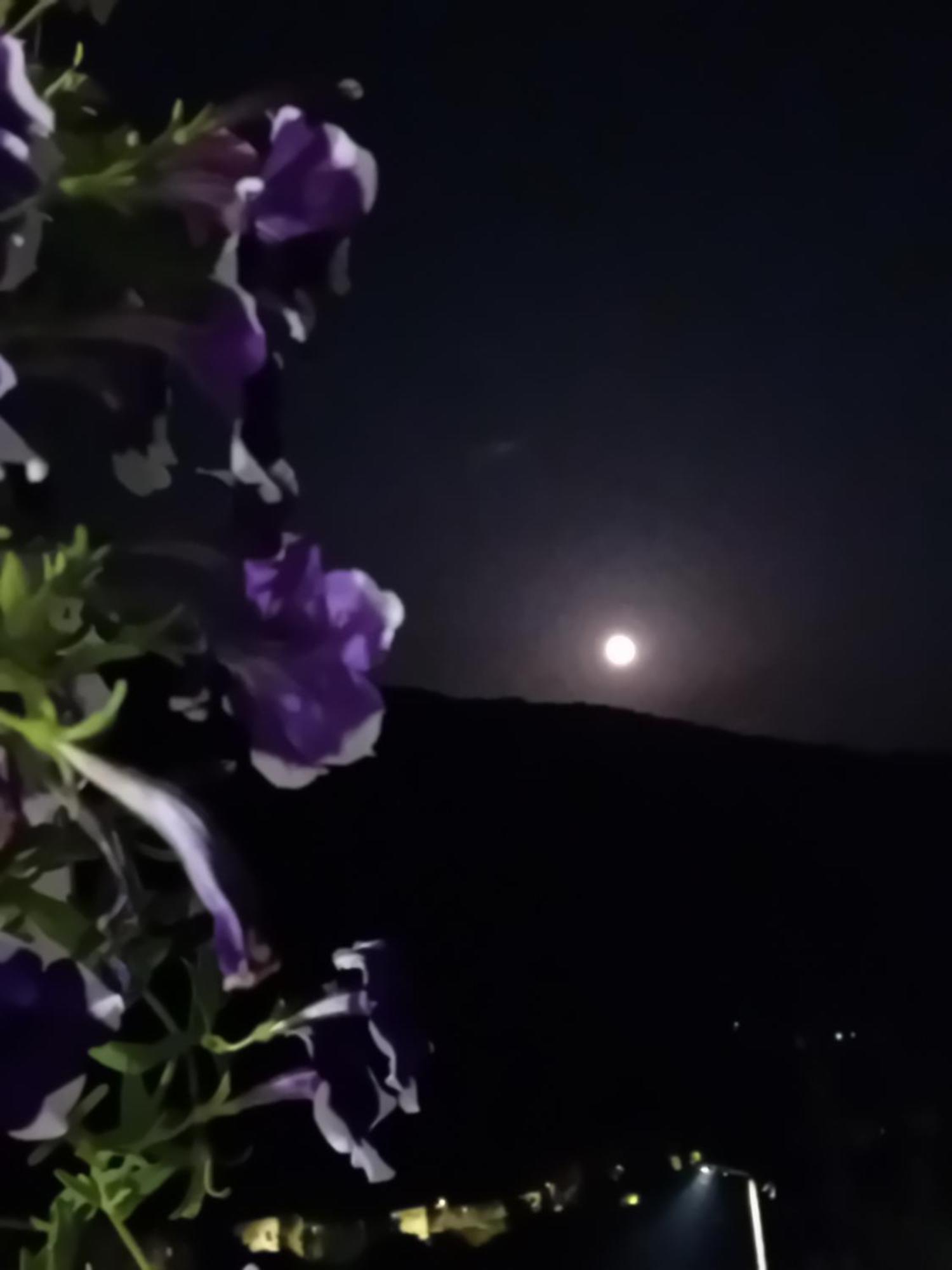 Mala Kuca Daire Foca Dış mekan fotoğraf